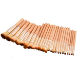 24 Piece Wooden Master Brush Set
