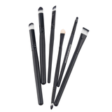 6 Piece Professional Brush Set